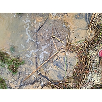 King tide image